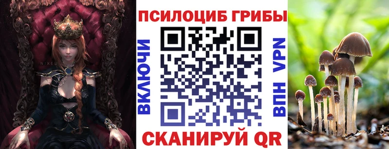 как найти наркотики  МЕГА сайт  Галлюциногенные грибы Magic Shrooms  Тырныауз 